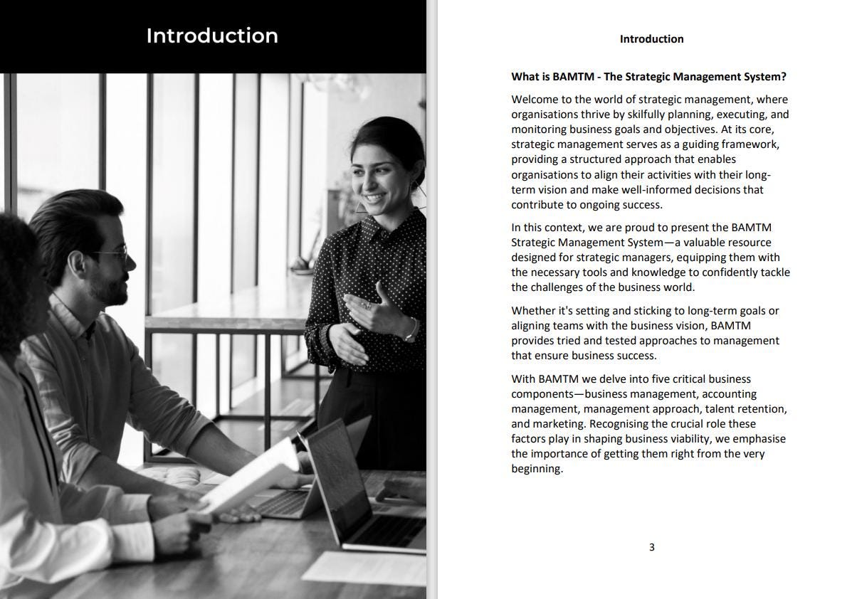 BAMTM - The Strategic Management Guide for Owners, Directors and Senior Management