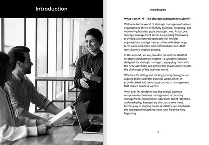 BAMTM - The Strategic Management Guide for Owners, Directors and Senior Management